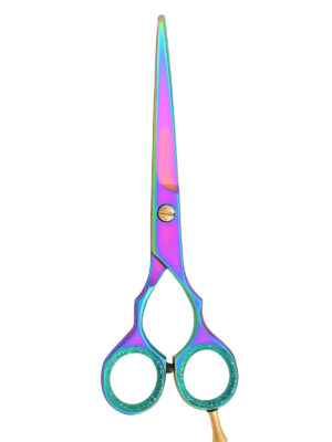 Hair Dressing Barber Scissors