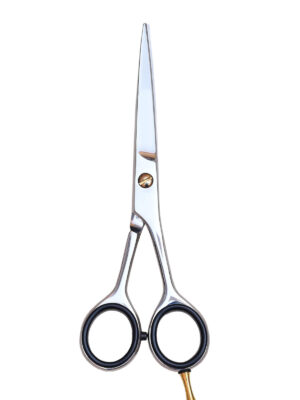 Hair Dressing Barber Scissors