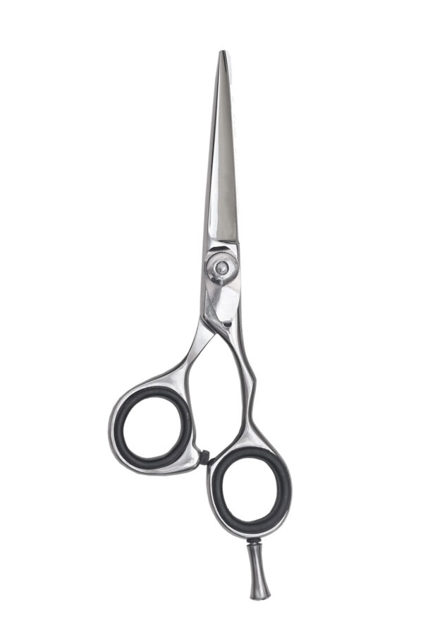 Hair Dressing Barber Scissors