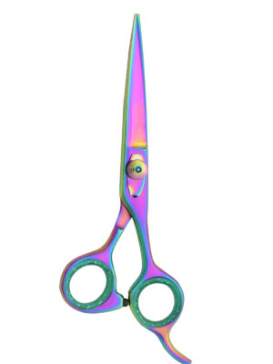 Hair Dressing Barber Scissors