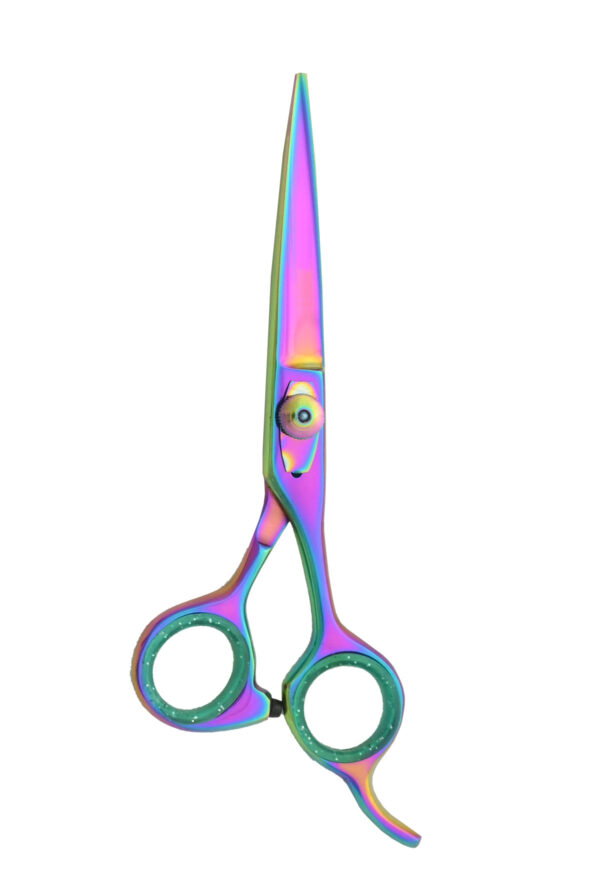 Hair Dressing Barber Scissors
