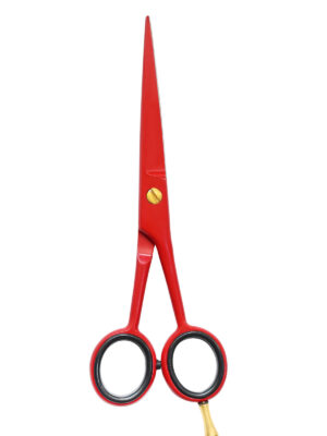Hair Dressing Barber Scissors